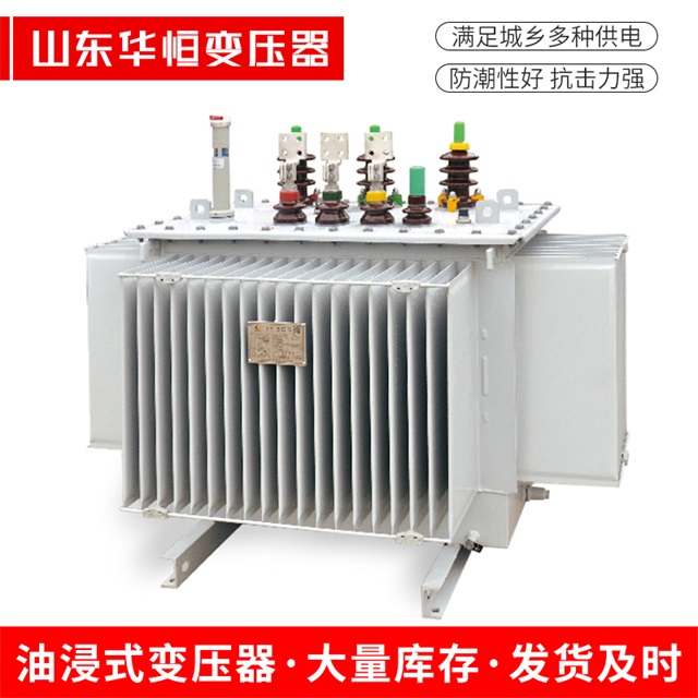 S13-10000/35丁青丁青丁青电力变压器
