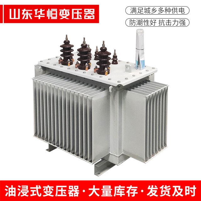 S13-10000/35丁青丁青丁青油浸式变压器厂家